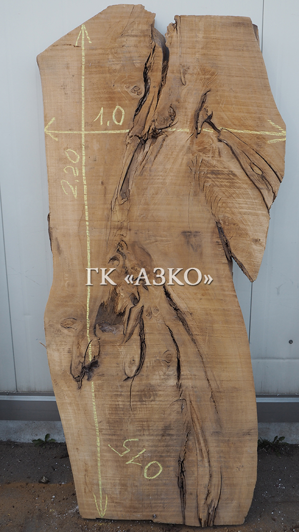  Слэб карагач (вяз) термо 2200*1000*60+-5